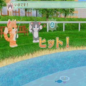 teach the cats words