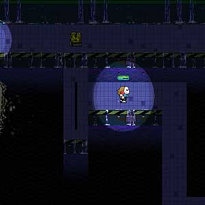 vigilante enmascarado