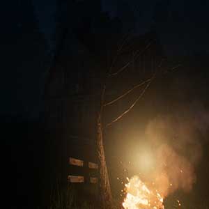 una gran superficie de bosque