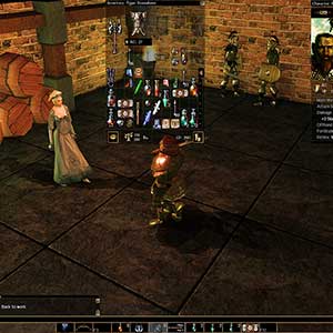 Neverwinter Nights Enhanced Edition - Tienda