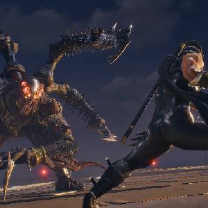 NINJA GAIDEN 2 Black Shadow Ninja Rasetsu