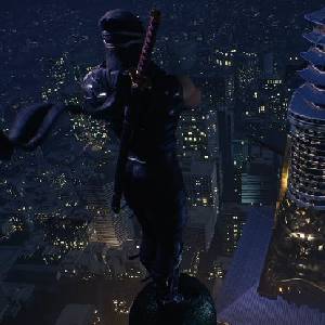 NINJA GAIDEN 2 Black Ryu Hayabusa