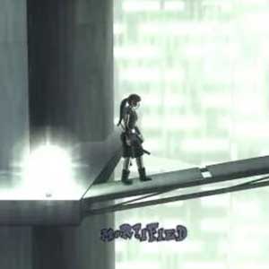 Desafío de un compañero ninja