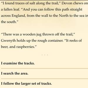 Nocked True Tales of Robin Hood - Devon/Gwenyth