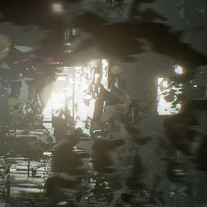 Observer - Murciélagos