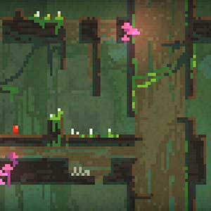 arenas trascendentales