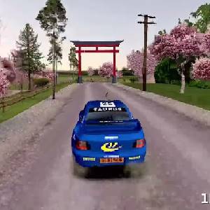 Old School Rally Taurus