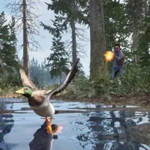 Online 404 - Caza de Patos