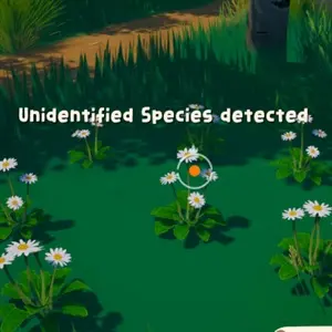 Out and About - Especie No Identificada