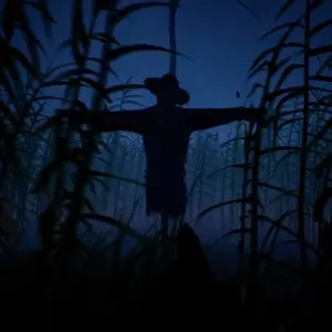 Outfield - Espantapájaros