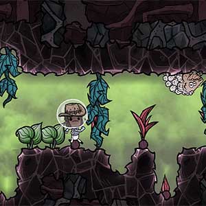 Oxygen Not Included Espacio