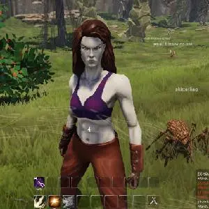 Pantheon Rise of the Fallen - Personaje de la Raza Elfa