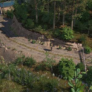 Pathogenesis Overcome Patrulla De Carretera