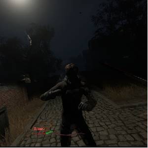 Pathologic 2 - Luchando