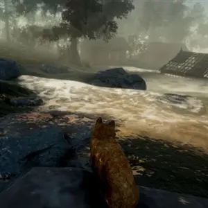 Peace Island - Paisaje