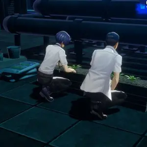 Persona 6 - Jardinería en la azotea