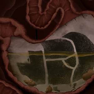 PIGROMANCE - Estómago