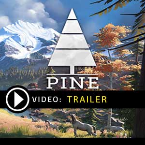 Comprar Pine CD Key Comparar Precios