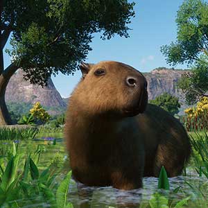 Planet Zoo Wetlands Animal Pack Capibara