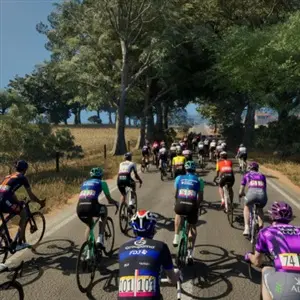 Pro Cycling Manager 25 - Túnel de árboles