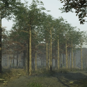 Pro Deer Hunting 2 - Bosque