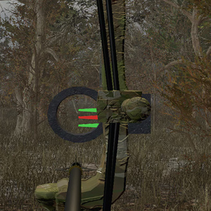 Pro Deer Hunting 2 - Arma