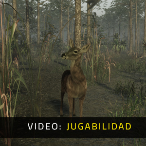 Pro Deer Hunting 2 - Video de Jugabilidad