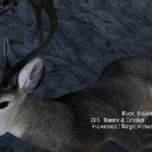 Pro Deer Hunting: Out West - Venado de Cola Blanca