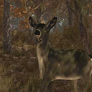 Pro Deer Hunting - Ciervo