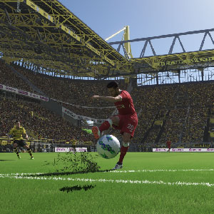 Resultado Co-op online