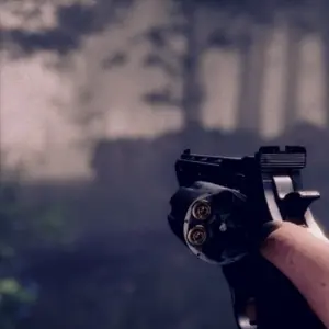 Project Songbird – Revólver