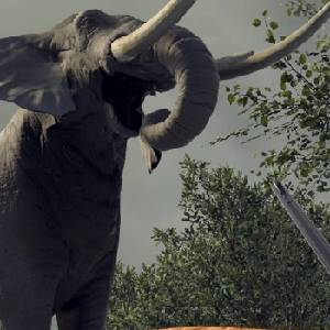 Project VR Wild Hunt - Elefante