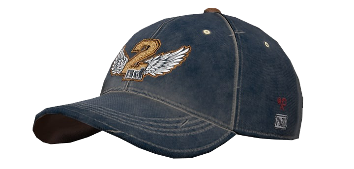 PUBG 2nd Anniversary Cap In-Game Item
