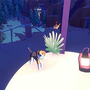 Pupperazzi - Supermercado