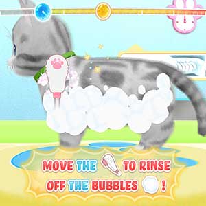 Pups and Purrs Animal Hospital Gatito