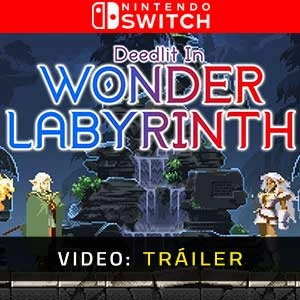 Record of Lodoss War-Deedlit in Wonder Labyrinth Switch
