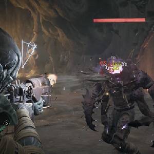 Remnant From the Ashes Swamps of Corsus - Terror parpadeante