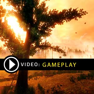 Rise of Insanity PS4Gameplay Video