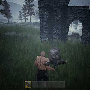 Rogue Frontiers Jabalí