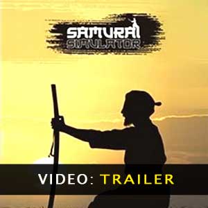 Comprar Samurai Simulator CD Key Comparar Precios