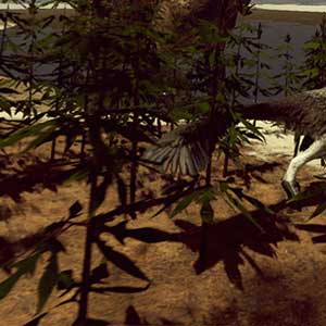 Entornos diversos de Hell Creek