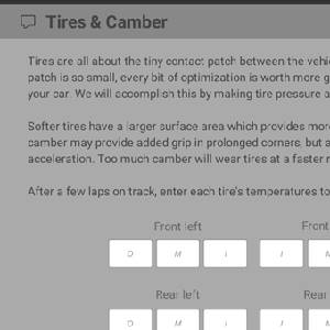 Setup Developer Tool 2021 - Neumáticos y Caída