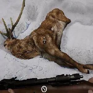 Short Snow - Caza de ciervos