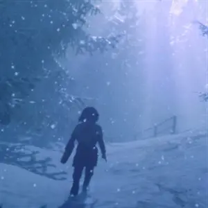 Skábma Snowfall - Invierno