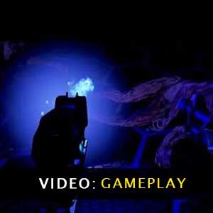 Star Phoenix Gameplay Video