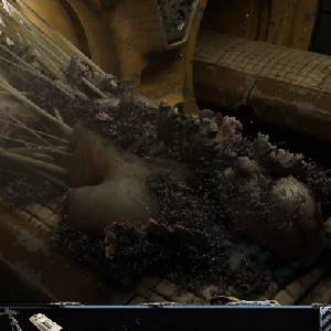 STASIS BONE TOTEM Cuerpo