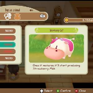 Story of Seasons Friends of Mineral Town - Ternero de Fresa