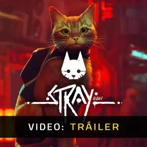 Stray - Vídeo En Tráiler