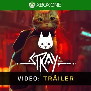 Stray Xbox One Vídeo En Tráiler
