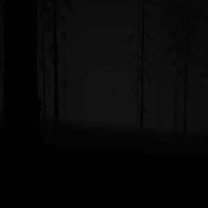 Study of Unusual Forest of Secrets